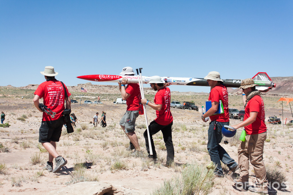 Just paste the link and go